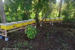 7091365d-b2ba-4d60-b188-86e79478de53